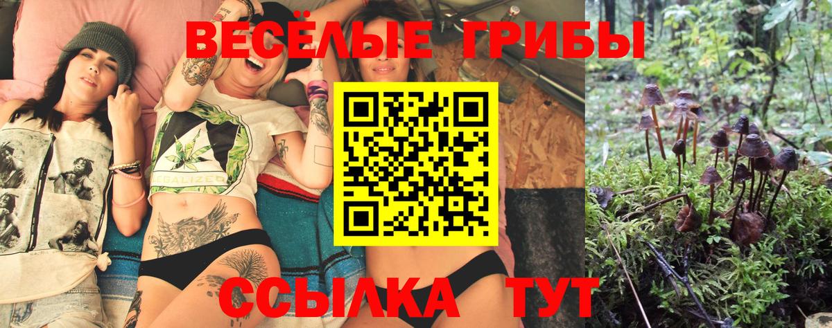 Галлюциногенные грибы мухоморы  Галлюциногенные грибы Magic Shrooms  Вход с VPN  Новочебоксарск 